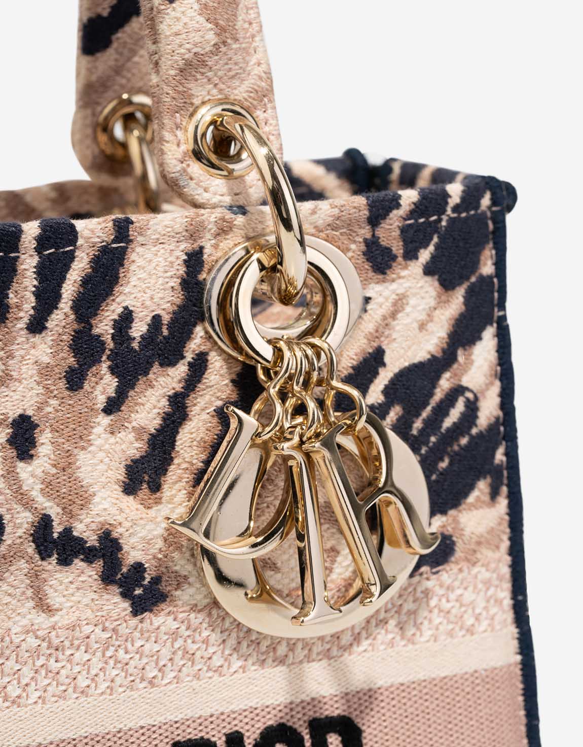 Dior Lady Medium Canvas Beige / Multicolour - 图片 7