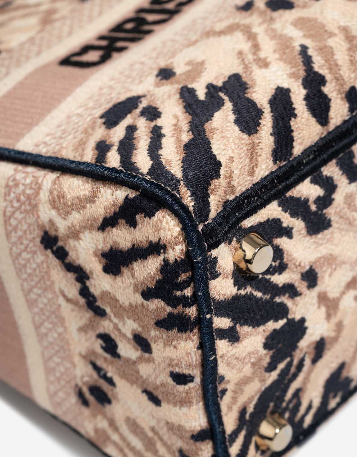 Dior Lady Medium Canvas Beige / Multicolour - 图片 10